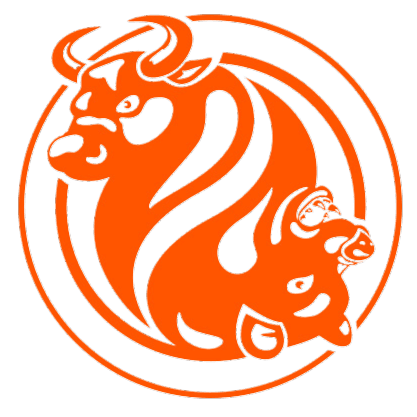 FXOpen logo